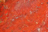 Polished, Red (Chestnut) Jasper Slab - Madagascar #129882-1